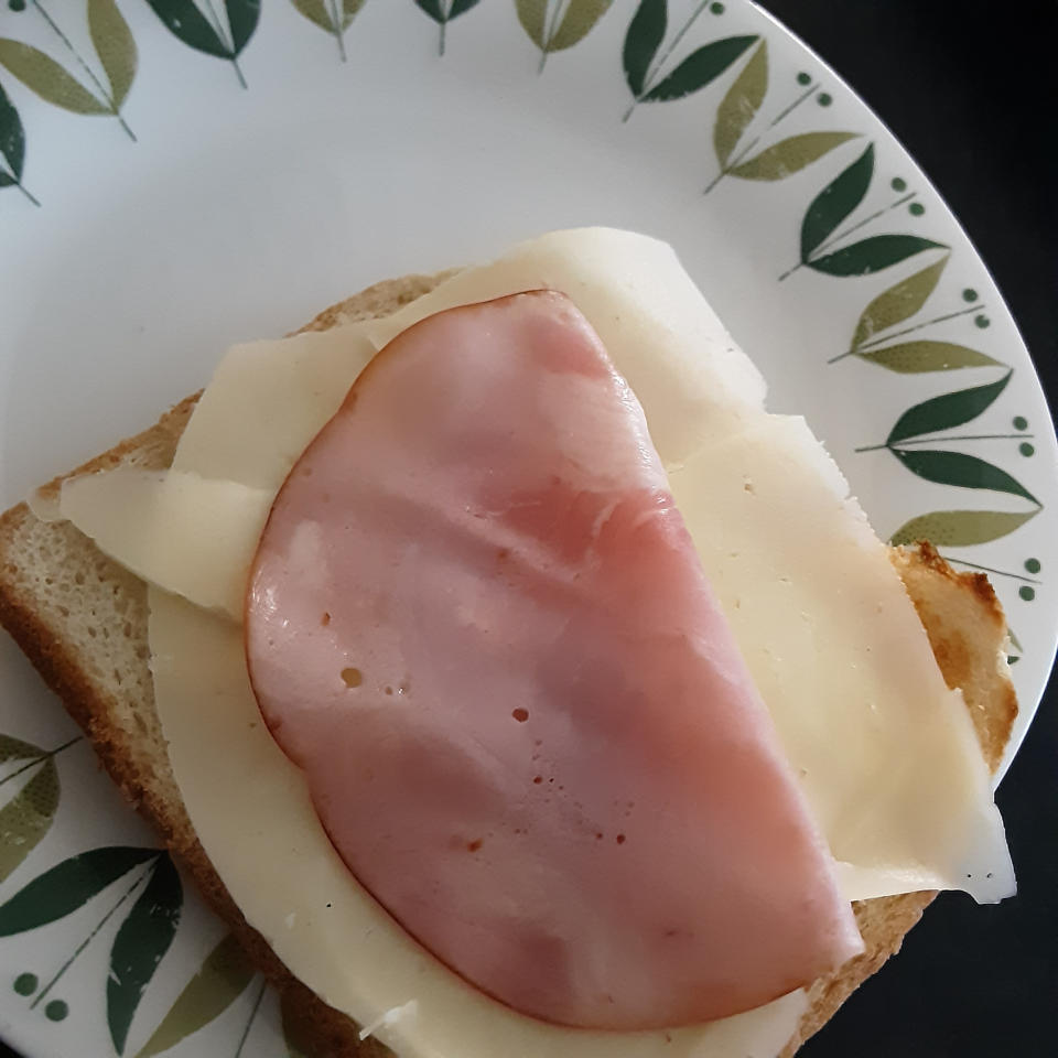 Open sandwich with a single slice of ham and cheese on white bread, placed on a plate with a green leaf pattern