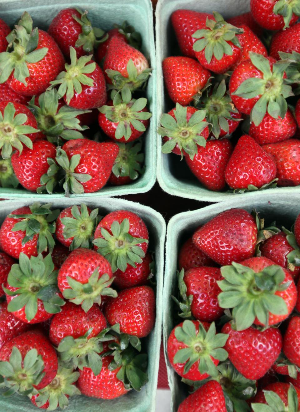 The spring always brings in fresh strawberries. These beauties were found in 2013 at the Wilmington Farmers’ Market, which also offers cafe seating under umbrellas and food trucks.