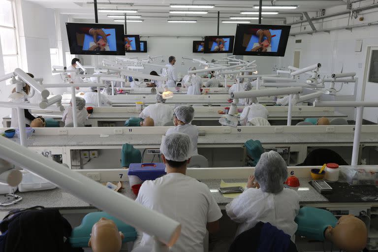 Las carreras vinculadas a la salud se afianzan entre las más elegidas