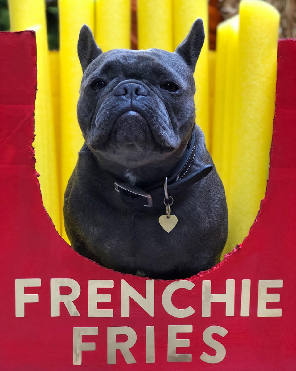 Frenchie Fry