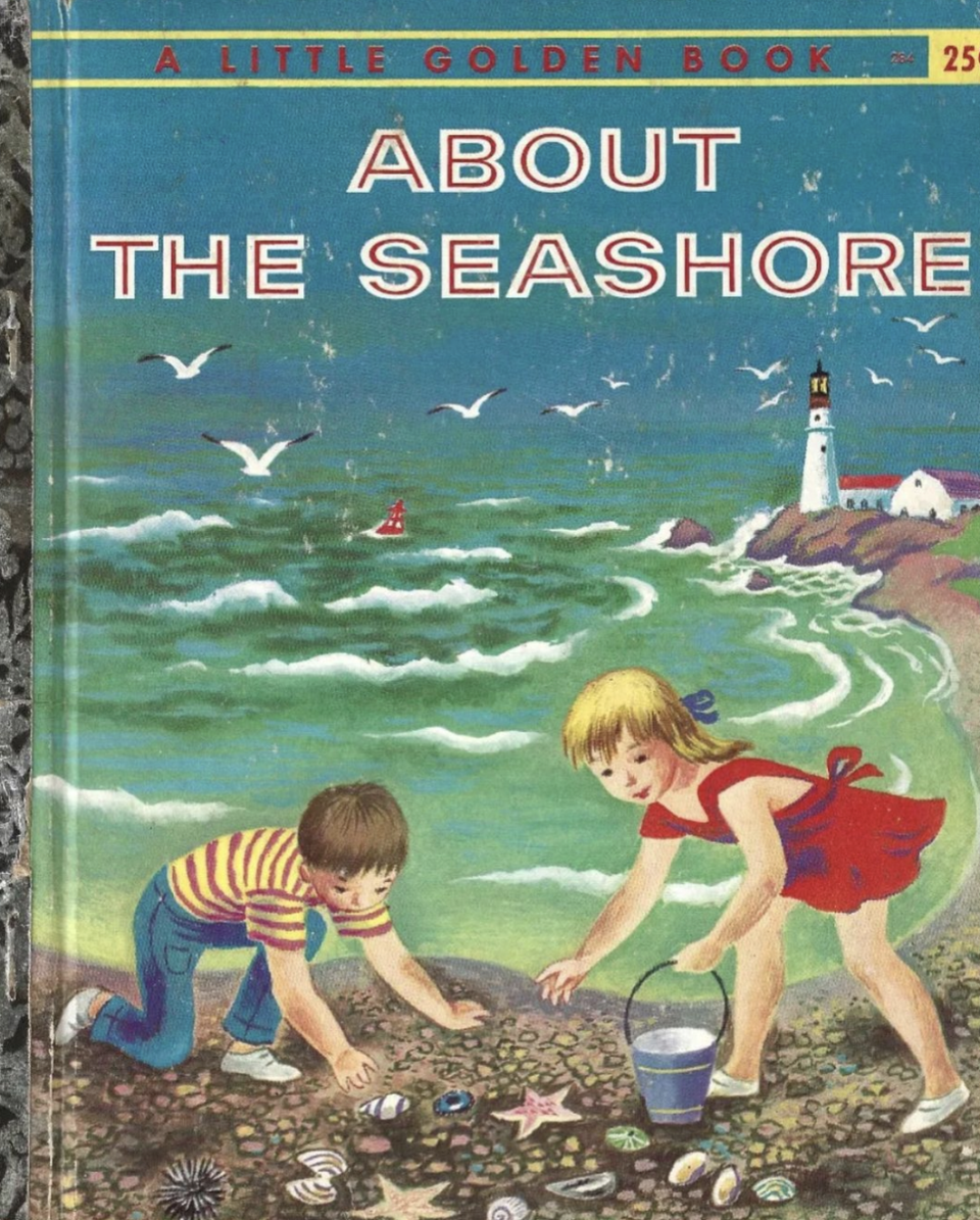 Cover of About the Seashore