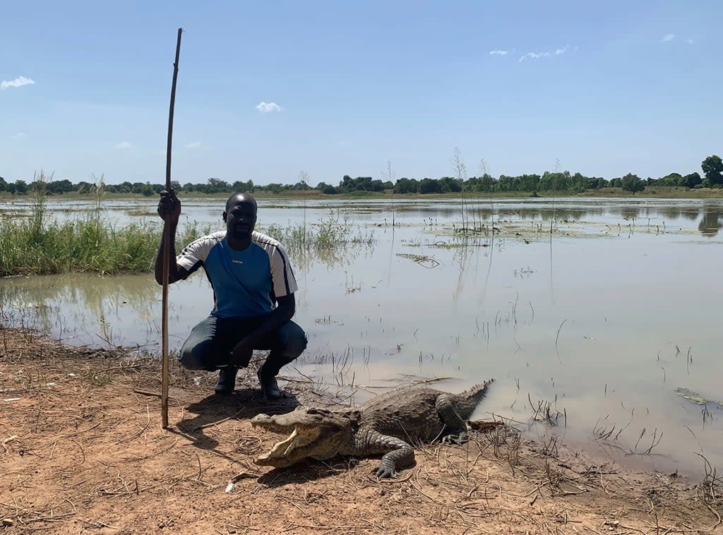 Bazoule Crocodiles (ASSOCIATED PRESS)