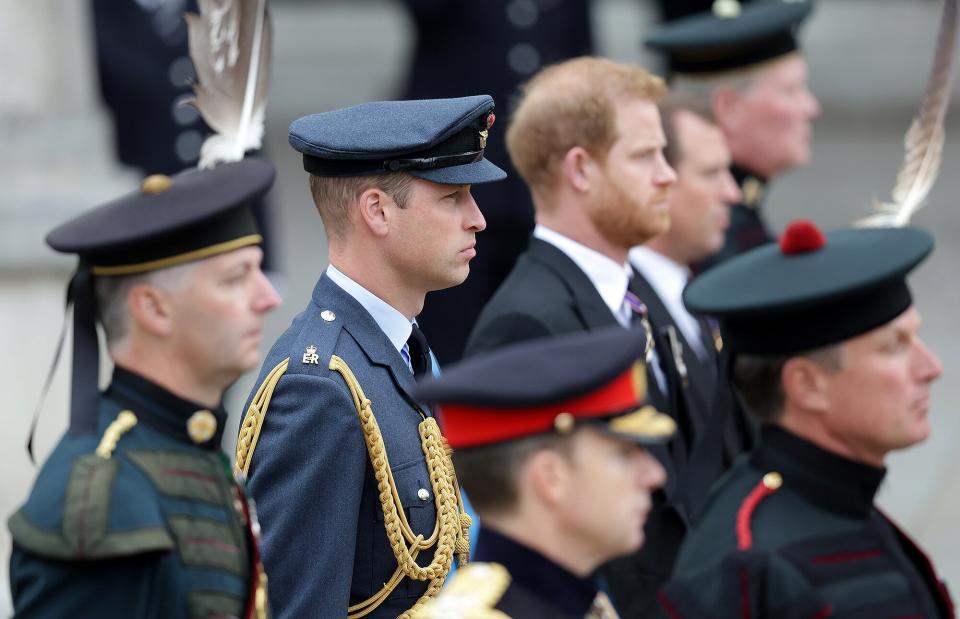 prince william, prince harry