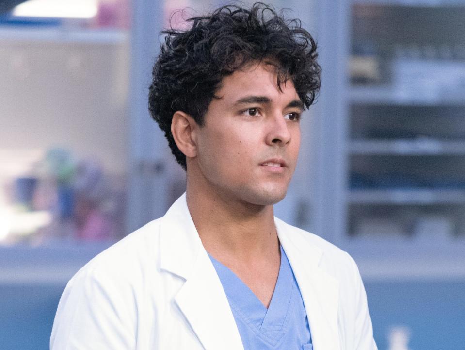 niko terho in grey's