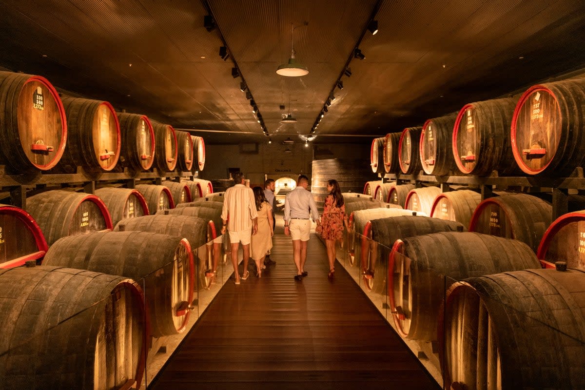Penfolds Magill Estate winery has views over the city (Tourism Australia)