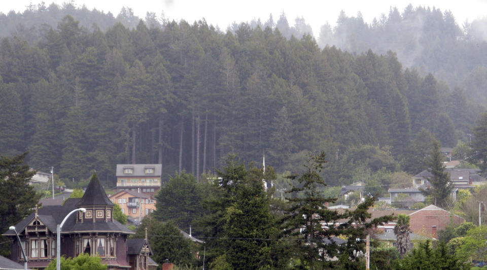 Homes in the hillsides of Arcata, California. (Photo: Alexandria Sage / Reuters)