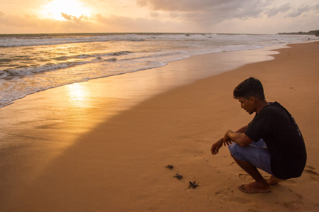 Tsunami survivor builds amazing turtle sanctuary