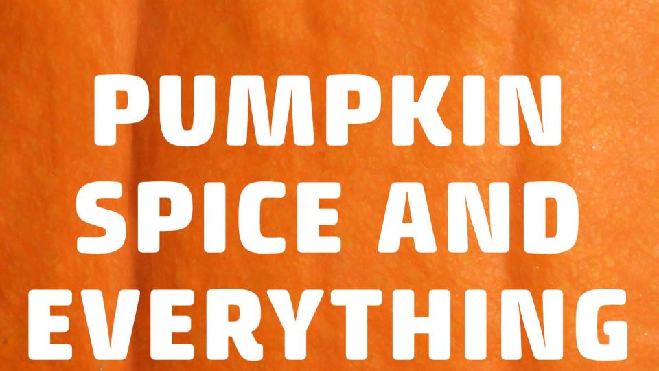 pumpkin puns pumpkin spice and everything nice