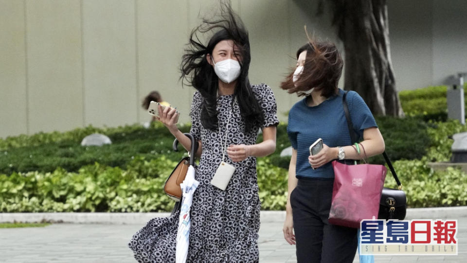 預料本港今日普遍吹強風，高地間中吹烈風，三號強風信號會在今日維持。資料圖片