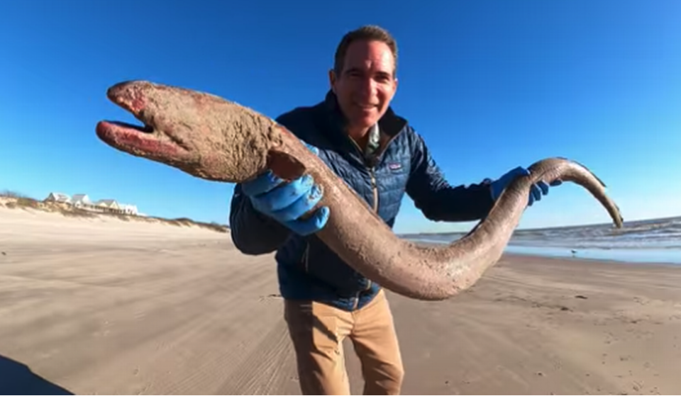 Jace Tunnell holds a 4-foot American eel that washed up on a Texas beach.