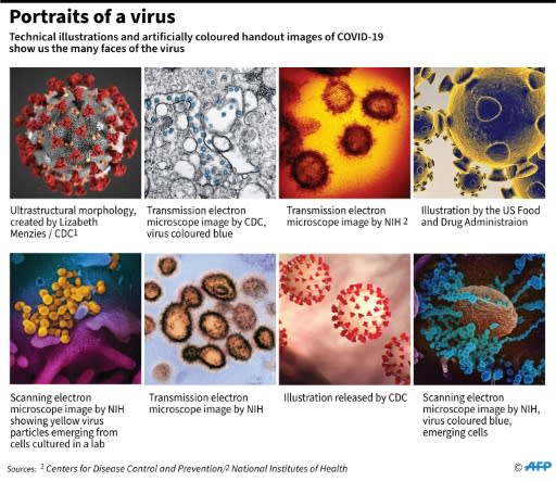 Images of COVID-19 released by US science agencies