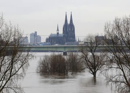 Cologne cathedral is seen with the flooded river Rhine in Cologne, January 9, 2011. REUTERS/Ina Fassbender