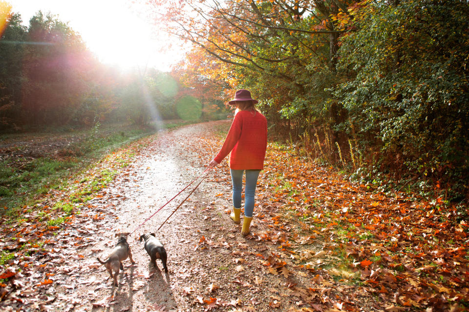 New research has revealed getting a dog is good for your fitness and mental health [Photo: Getty]