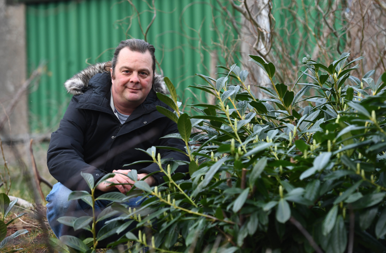 The plot has a range of plants growing there, including pear trees, apple trees, blackcurrant bushes, rosemary and lavender. (Wales News)