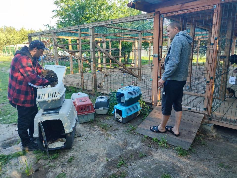 An animal charity arrives to rescue the cats and dogs in Siversk, eastern Ukraine (Supplied)