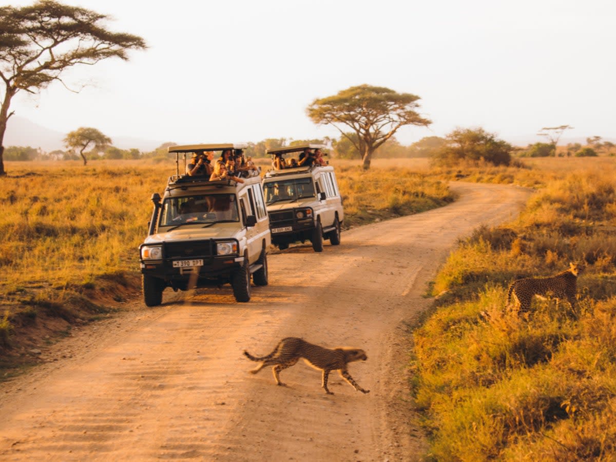 On safari in Tanzania (Getty Images)