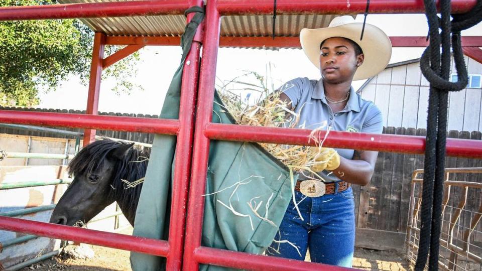 Rizpah Bellard, owner of Nova Farming, brings hay out to her pony Titan in a pen on the property of an independent living home she operates in west Fresno on Thursday, Aug. 1, 2024. Rizpah uses a few of her farm animals to teach kids in Fresno Unified about agriculture.