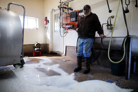 Dairy farmer Fred Stone watches the milk collected the previous day go down the floor drain, after discovering the soil, hay, and the milk from the cows on the farm contain extremely high levels of PFAS chemicals resulting from a 1980's state program to fertilize the pastures with treated sludge waste and making the milk unsuitable for sale, at the Stoneridge Farm in Arundel, Maine, U.S., March 11, 2019. Picture taken March 11, 2019. REUTERS/Brian Snyder