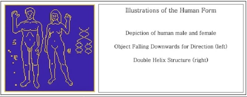 The pixelated drawings of a nude man and woman will be sent into space as part of the 'Beacon in the Galaxy' project. ― Picture courtesy of Nasa