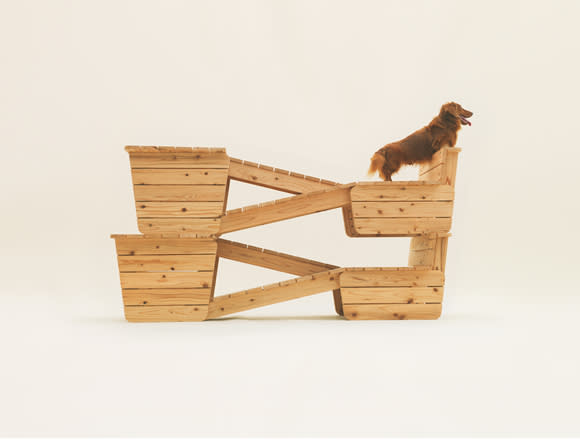 Architecture for Dogs