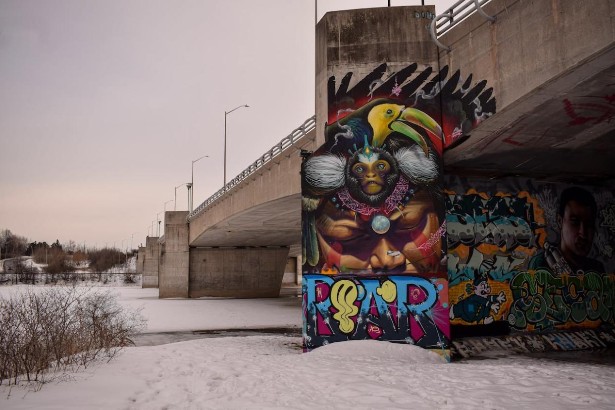 The George Dunbar Bridge, which forms a stretch of Bronson Avenue over the Rideau River, as it appears in the book Spanning Time: The Bridges of Ottawa-Gatineau. It's a legal graffiti location, and has hosted the House of PainT urban arts festival for years. (Nicholas Pedersen - image credit)