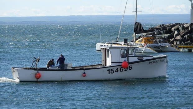 Lobster boats from the Mi'kmaw community of Listuguj in the Gaspé returned with their first fall catch on Monday. For the first time, Canada's Department of Fisheries and Oceans has issued a commercial license for the annual September and October harvest. (Isabelle Larose/Radio-Canada - image credit)