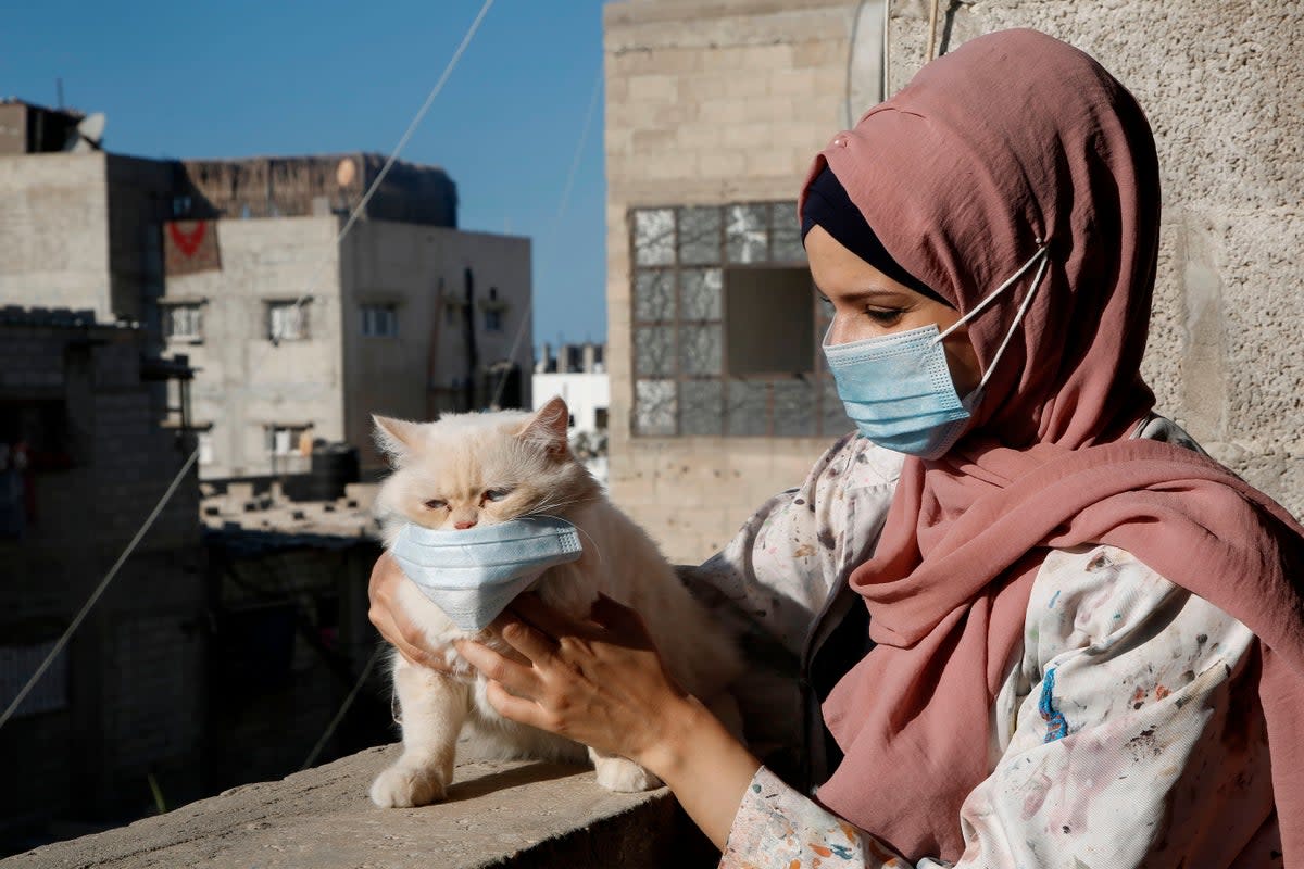 Palestinian artist Khulud al-Desouki pets a cat during lockdown at home in Khan Yunis in the southern Gaza Strip (AFP via Getty Images)