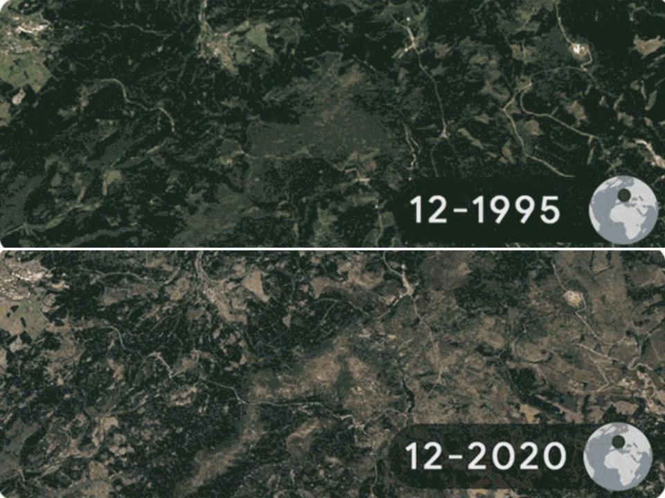 Images taken each December annually from 1995 to 2020 show deforestation in the Harz Forests in Elend, Germany (Google)