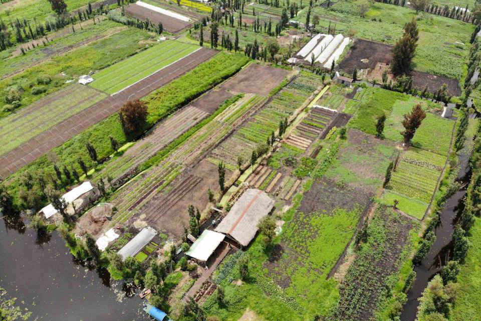 <p>Manuti/Courtesy of Arca Tierra</p> The Arca Tierra farm in Xochimilco, a canal system and borough in Mexico City.