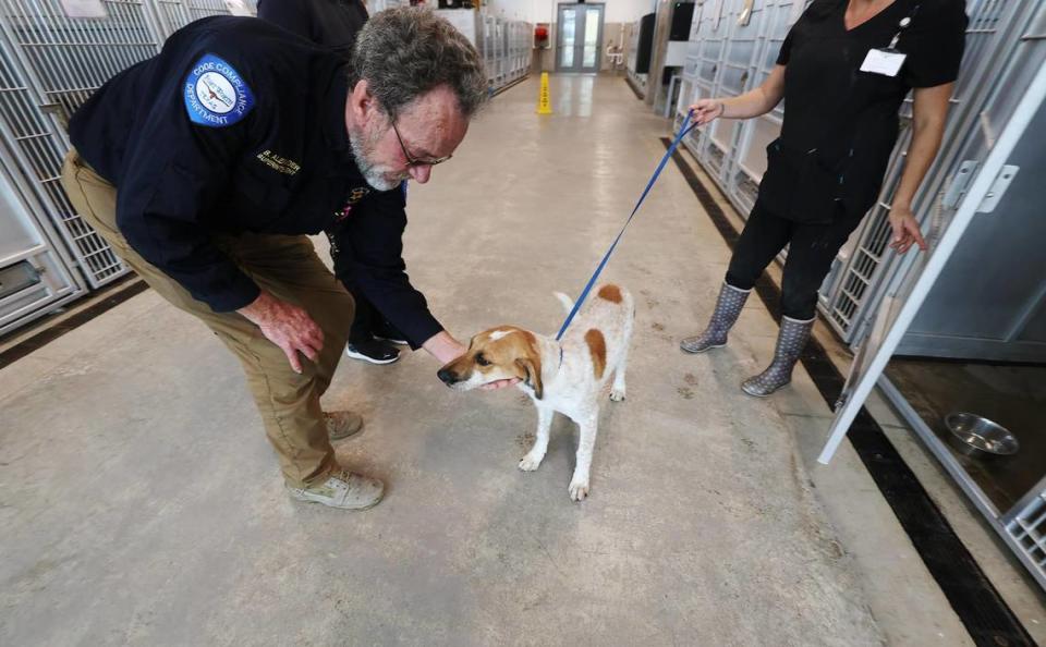 Shelter superintendent Barry Alexander pets a dog available for adoption at Fort Worth North Animal Care and Adoption Campus on Wednesday, October 25, 2023, in Fort Worth.