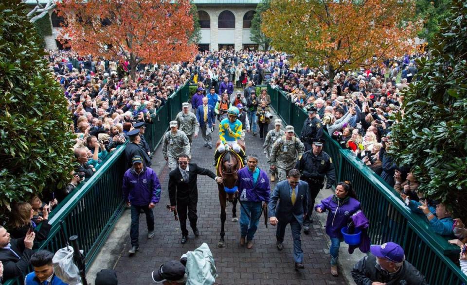 During the first-ever Breeders’ Cup World Championships at Keeneland in 2015, American Pharoah became Thoroughbred racing’s first “Grand Slam” champion after winning the Kentucky Derby, Preakness Stakes, Belmont Stakes and Breeders’ Cup Classic in the same year.