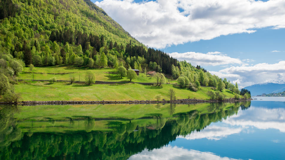 A green meadow next to water in Sognefjord