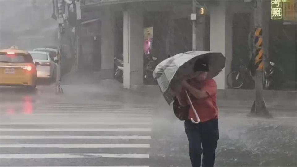  雷雨狂炸北市！　市區驚見冰雹 多處路樹倒塌