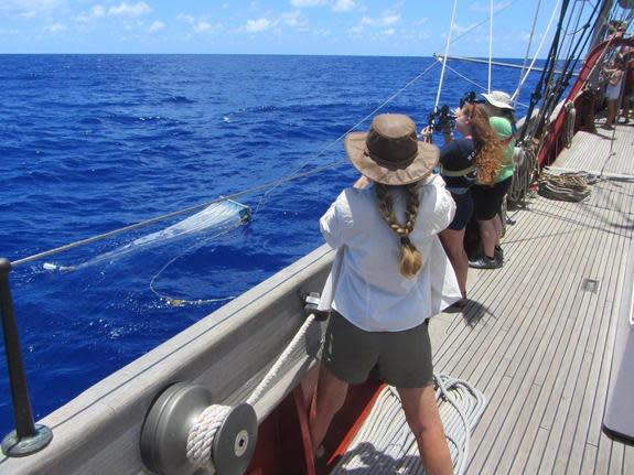 Undergraduate students on the SEA Semester vessel SSV Corwith Cramer collect plastic samples of ocean debris using a neuston net.