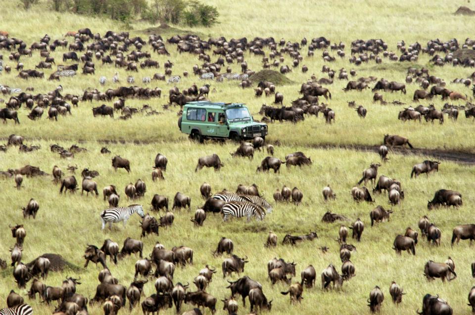 One of the most sought-after safari experiences is witnessing the Great Migration, when millions of zebras, wildebeests, and other herd animals travel from Tanzania's Serengeti to the Masai Mara in Kenya. Alice Daunt, a travel specialist at Daunt Travel, suggests catching it from the Masai Mara, but cautions that the “there are literally eight beds at the best camps,” and just a couple camps she sends her clients to—not to mention a narrow window of travel (typically August through September). For those reasons, she suggests booking even a couple years in advance. (Roar Africa, another of our preferred travel planners, offers a <a href="http://secure-web.cisco.com/1LrJ9_DdZEwLVQ9xRkinbfHlEWXfVpth0w382APGKiyae_51x3KwfelTrDszFguqFon0tVRgV4etpkZGqLqqcLDTfGgvnZiTP3En0fLi5PWNhdV45x59r8-2SIxc13khY7Jb01qgdK4JYOaWVslBsUfFWbp_XO16heJya2WqRWBvIhW4bJdFwSMjABMJJgVsgzRzOKd3sCQyZEqbmsTXebjAv65x3JwmYgCbm5fM4F7bhuV3sV2zyFZmaqf57v-JAGkCTQ52xwFdqWN6YsQwPGG6NBJHcjabXws1tN3PEE4Awz7mKF_OKXkLE87DZDisjEglaibQ3p9HxvyDrQsAVkfC2alnAebeN3G0PkVIDN-s/http%3A%2F%2Ftravel.roarafrica.com%2Fprint%2Fitinerary-html%2F10617" rel="nofollow noopener" target="_blank" data-ylk="slk:Kenyan helicopter safari tour;elm:context_link;itc:0;sec:content-canvas" class="link ">Kenyan helicopter safari tour</a> with August dates that'll deliver an unforgettable aerial view of the animals below.)