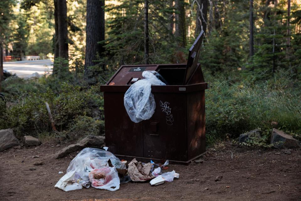 A trash bag hangs from the opening of a garbage bin while other waste litters the ground below.