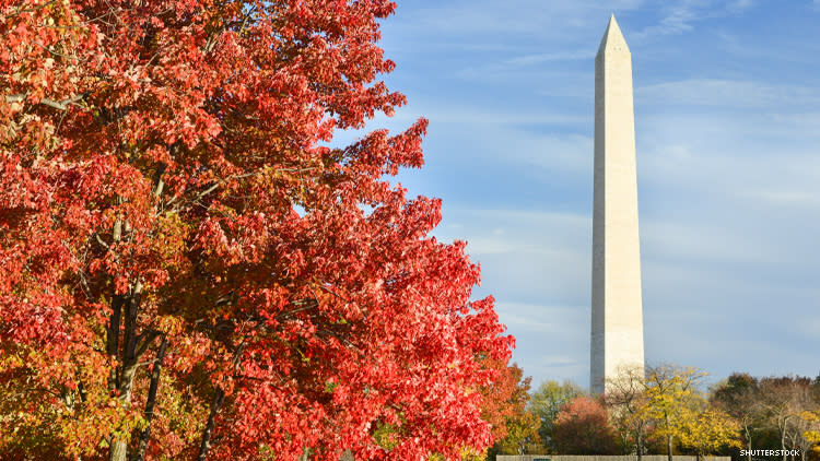 Washington, DC