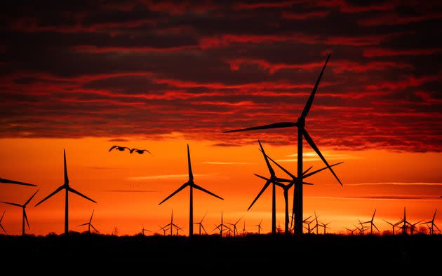 09 March 2021, Hamburg, Bordelum: Wind turbines stand in a wind farm at the North Sea in the sunrise. Photo: Christian Charisius/dpa (Photo by Christian Charisius/picture alliance via Getty Images) (Photo: picture alliance via Getty Images)