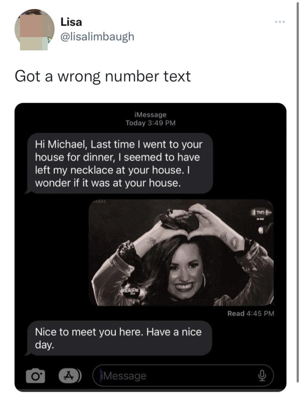 Wrong number text asks about necklace left at their house and gets a photo of Demi Lovato smiling, and they respond with "Nice to meet you, have a nice day"