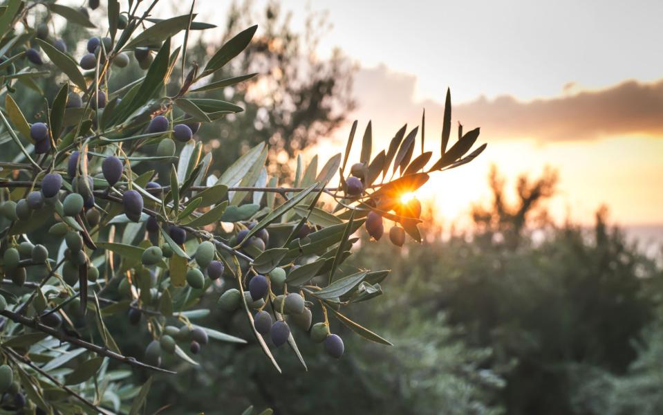 Swap blustery Britain for the charms of Greece