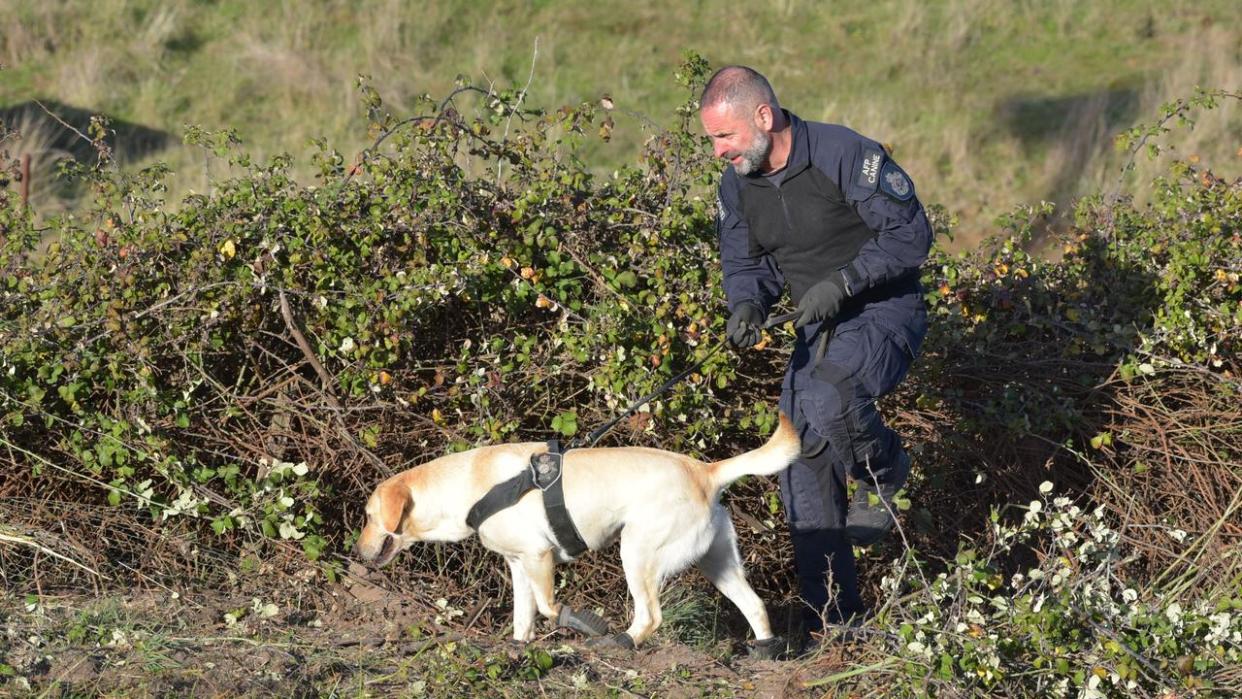 Police carried out a ‘targeted search’ on Wednesday. Picture: NewsWire / Ian Wilson