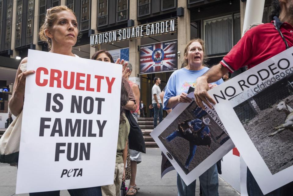 Protesters hold signs against rodeo