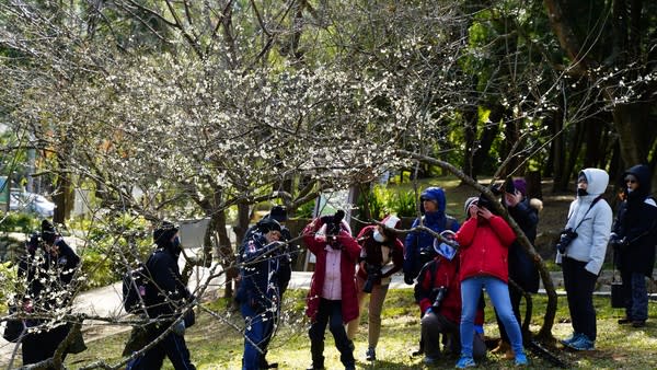 外傳桃園旅遊團全被取消，雄獅旅行社澄清：只是沒人報名。   圖：桃園觀傳局／提供（資料照）