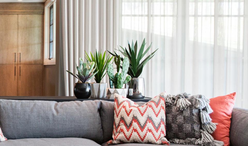 A living room console with lots of succulents kept atop