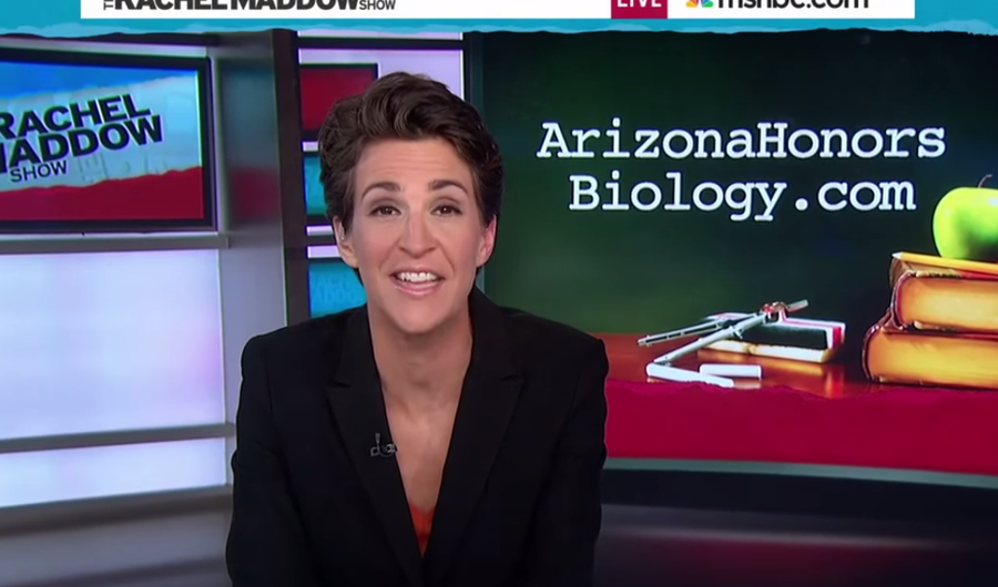 Who Is Rachel Maddow? A Quick Guide to MSNBC's Democratic Forum Moderator