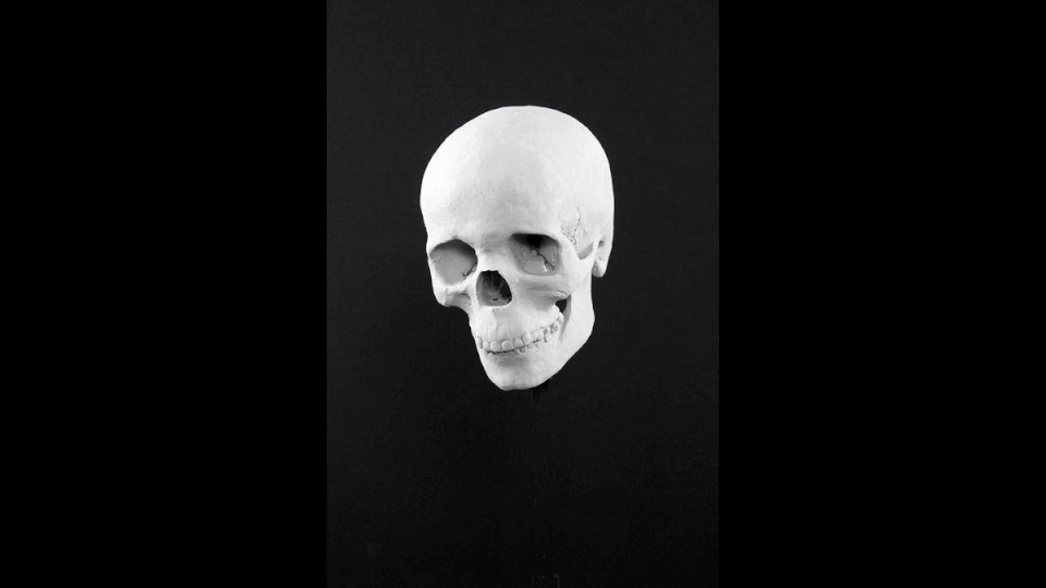 GIF of facial reconstruction process at the Kilmartin Museum.