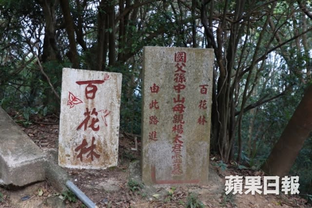 飛鵝山道近百花林處有不少山墳，其一正是孫中山母親之墓。