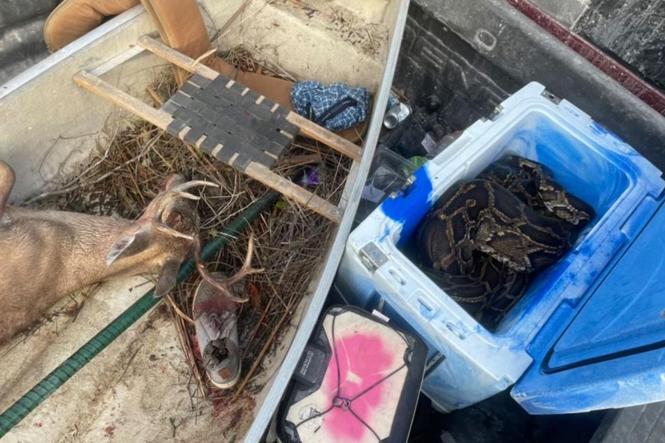 Ross put the python in his cooler before poling his canoe out to his deer stand.