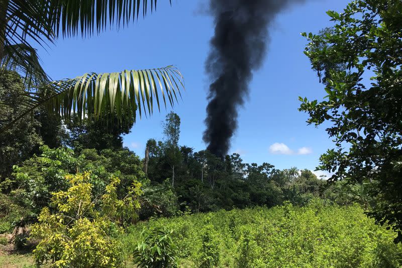 Coca leaf plantations is seen burning after an operation of Peruvian anti-narcotics police and Brazilian Federal Police in Caballococha