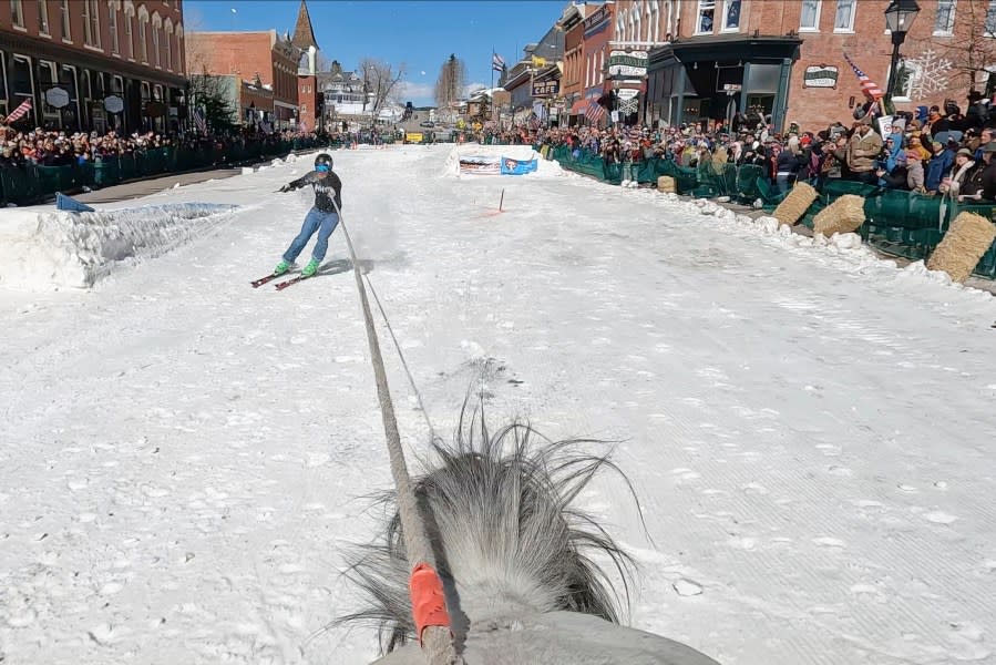 A skier is pulled by a horse during a skijoring competition in Leadville, Colo., on Saturday, March 2, 2024. Skijoring draws its name from the Norwegian word skikjoring, meaning “ski driving.” It started as a practical mode of transportation in Scandinavia and became popular in the Alps around 1900. Today’s sport features horses at full gallop towing skiers by rope over jumps and around obstacles as they try to lance suspended hoops with a baton, typically a ski pole that’s cut in half. (AP Photo/Thomas Peipert)